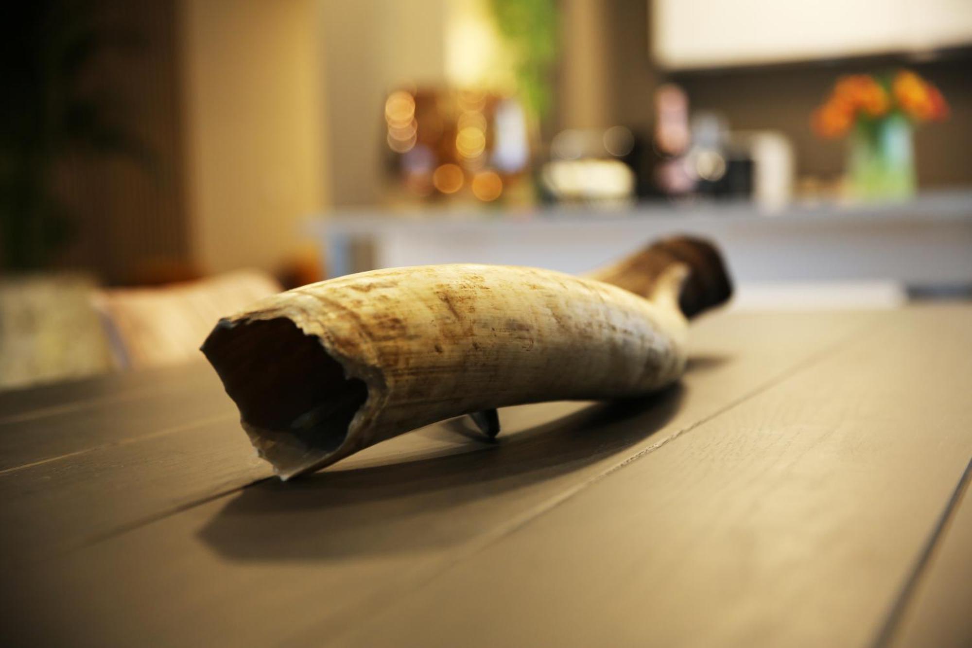 L'appart Baobab, Avec Sauna Liège